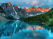 浩克或回巴甲 在上港挣1600万欧 回去年薪400万欧