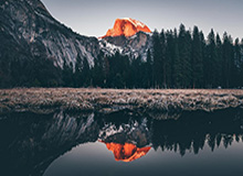 阿卡夺冠，重回世界第一！特朗普到场观看